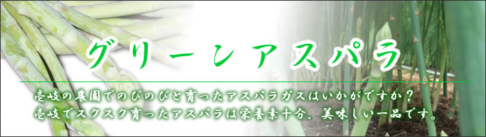 壱岐産　グリーンアスパラガス　2L　1kg（18～20本）