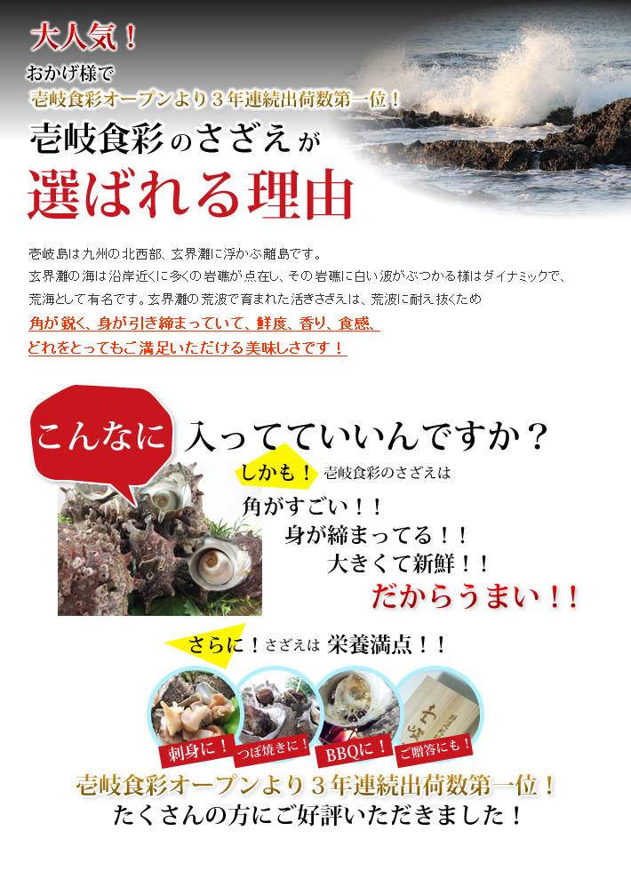 大人気！おかげさまで壱岐食彩オープンより３年連続出荷数第一位！
壱岐食彩のさざえが選ばれる理由
壱岐島は九州の北西部、玄界灘に浮かぶ離島です。玄界灘の海は沿岸近くに多くの岩礁が点在し、その岩礁に白い波がぶつかる様はダイナミックで、荒海として有名です。玄界灘の荒波で育まれた活きさざえは、荒波に耐え抜くため角が鋭く、身が引き締まっていて、鮮度、香り、食感、どれをとってもご満足いただける美味しさです！
こんなに入ってていいんですか？しかも！壱岐食彩のさざえは角がすごい！！身が締まってる！！大きくて新鮮！！だからうまい！！さらに！さざえは栄養満点！！
刺身に！つぼ焼きに！BBQに！ご贈答にも！
壱岐食彩オープンより３年連続出荷数第一位！
たくさんの方にご好評いただきました！